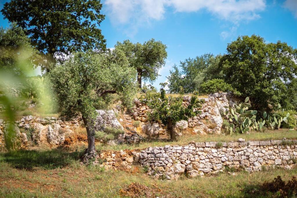 アルベロベッロ Trullo Caelumヴィラ エクステリア 写真