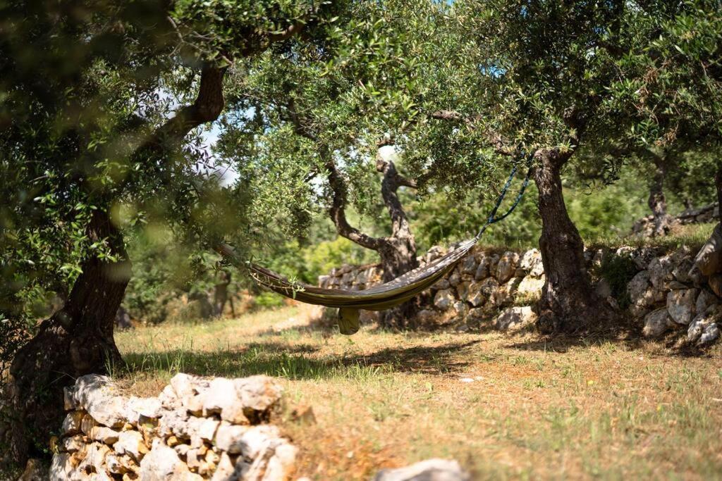 アルベロベッロ Trullo Caelumヴィラ エクステリア 写真
