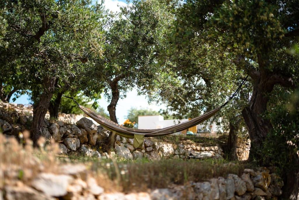 アルベロベッロ Trullo Caelumヴィラ エクステリア 写真
